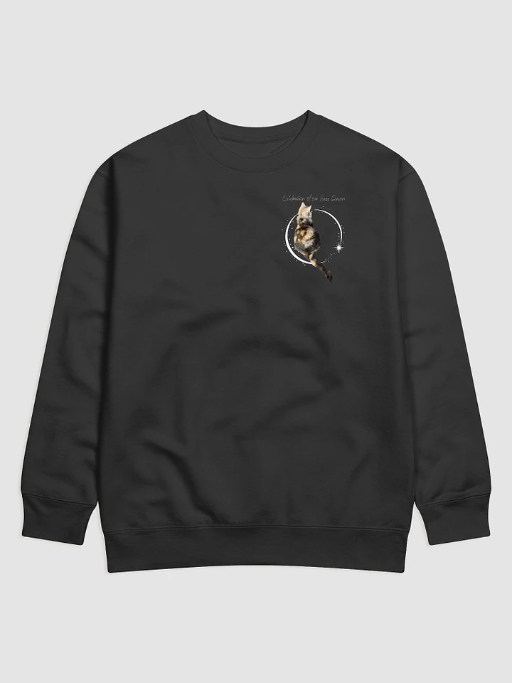 Celebration of our Sass Queen sweatshirt product image (1)