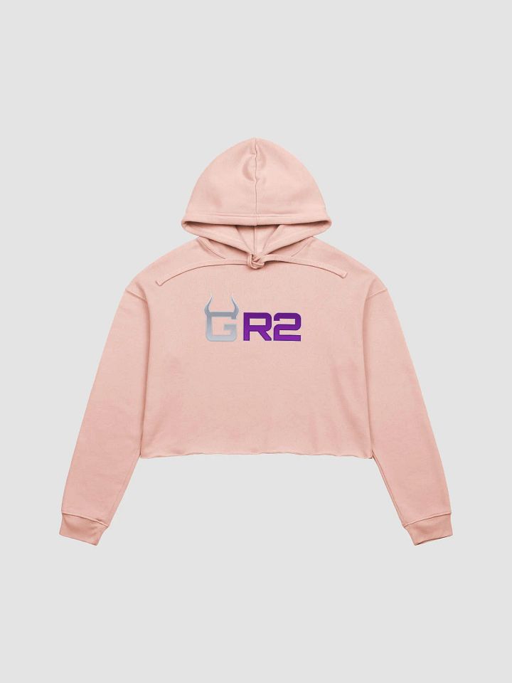 Crop hoodie product image (2)
