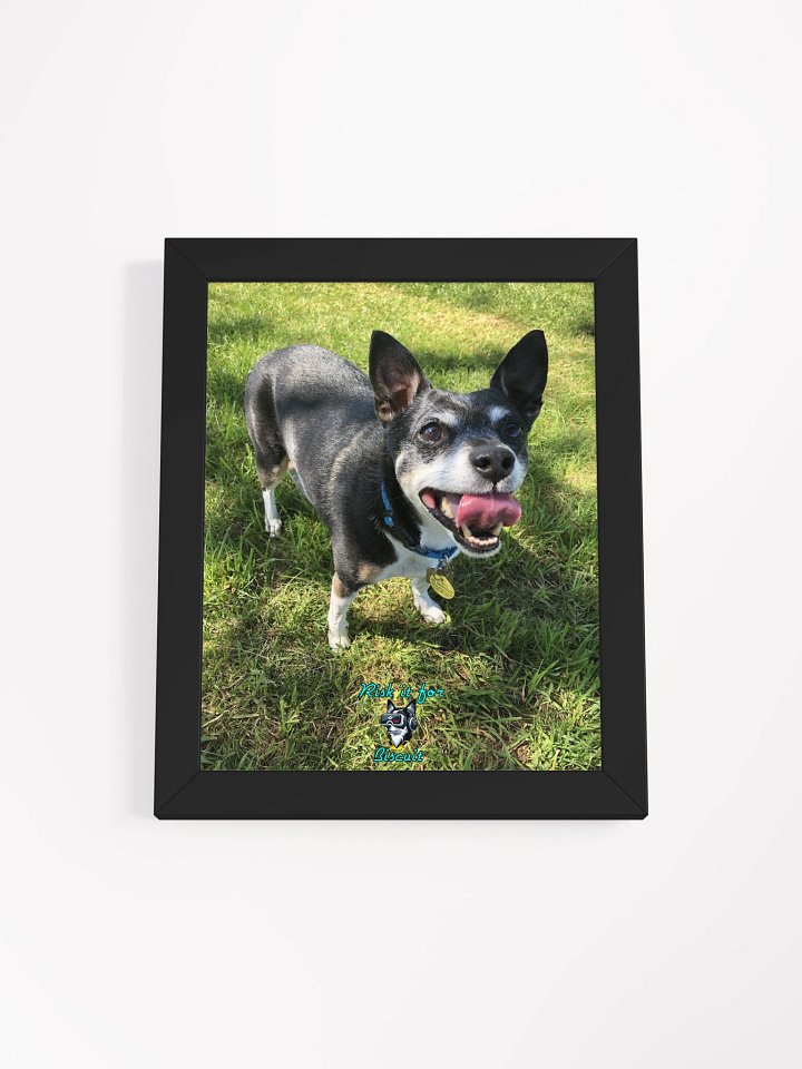 Crew Chief Biscuit - Ready for the summer season! product image (1)