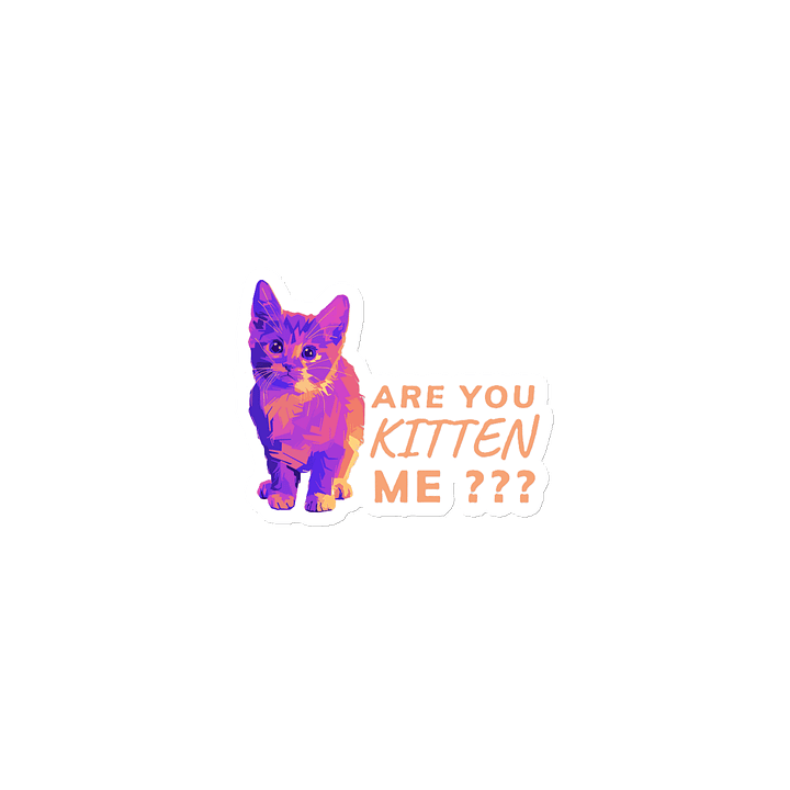 ARE YOU KITTEN ME??? product image (1)