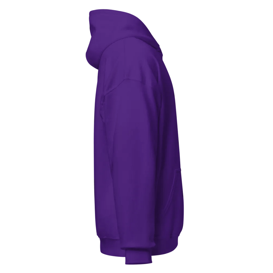 The Hag Tarot Hoodie product image (31)