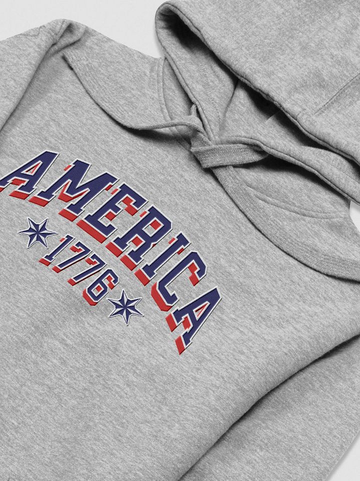 AMERICA / HOODIE / EMBROIDERED product image (1)