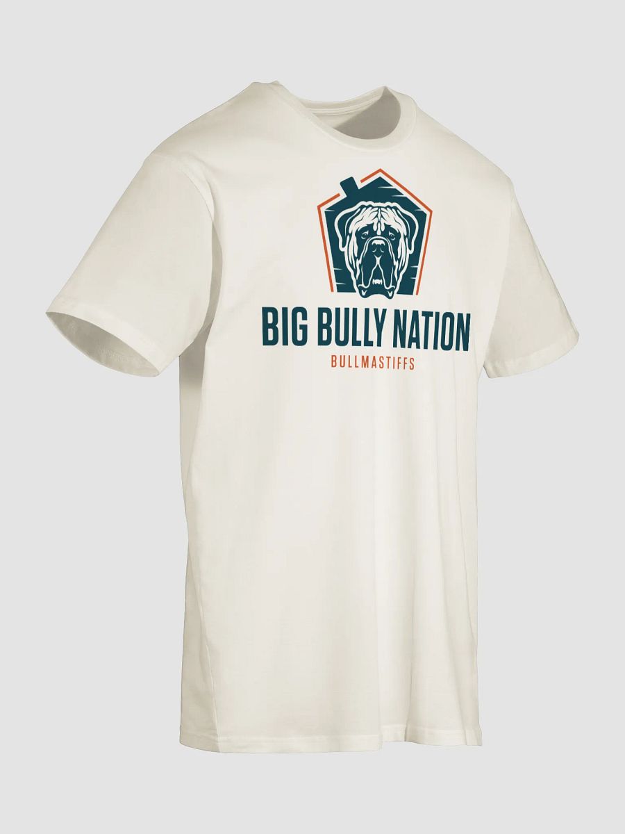 BBN T-Shirt product image (34)