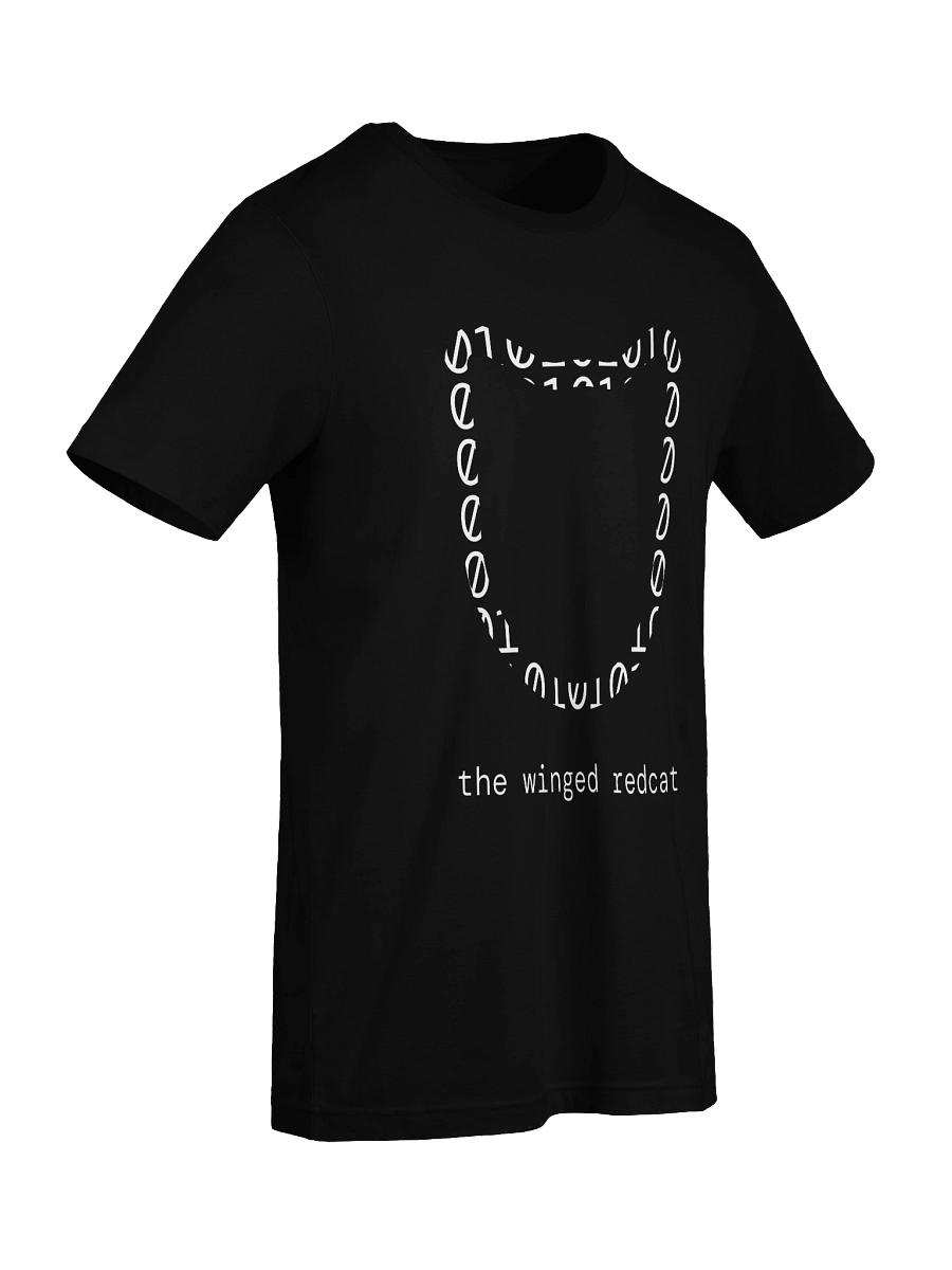 Developer - Unisex Shirt product image (18)