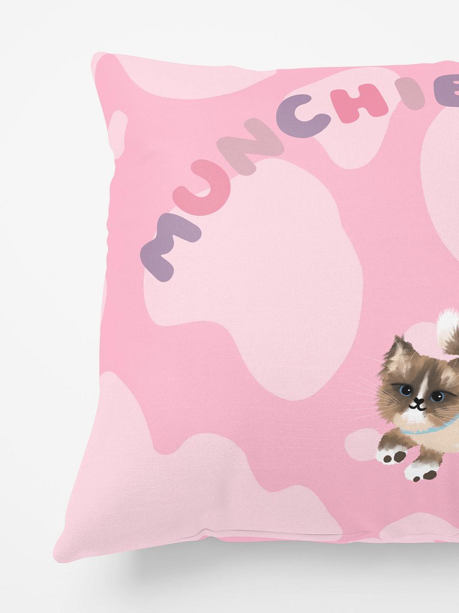 Munchie Pillow product image (6)