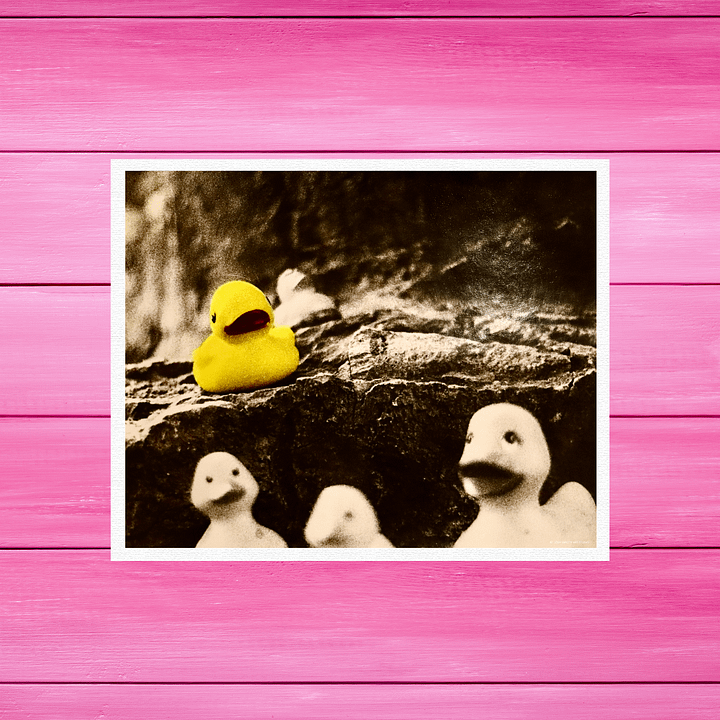 Vintage Quackers | Art Print product image (1)
