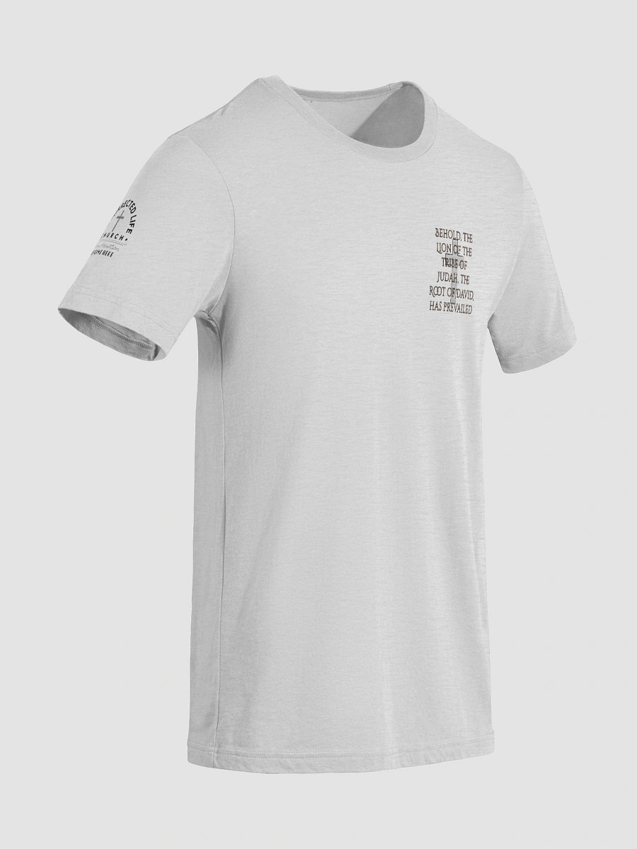 Lion of Judah Unisex Tee product image (71)