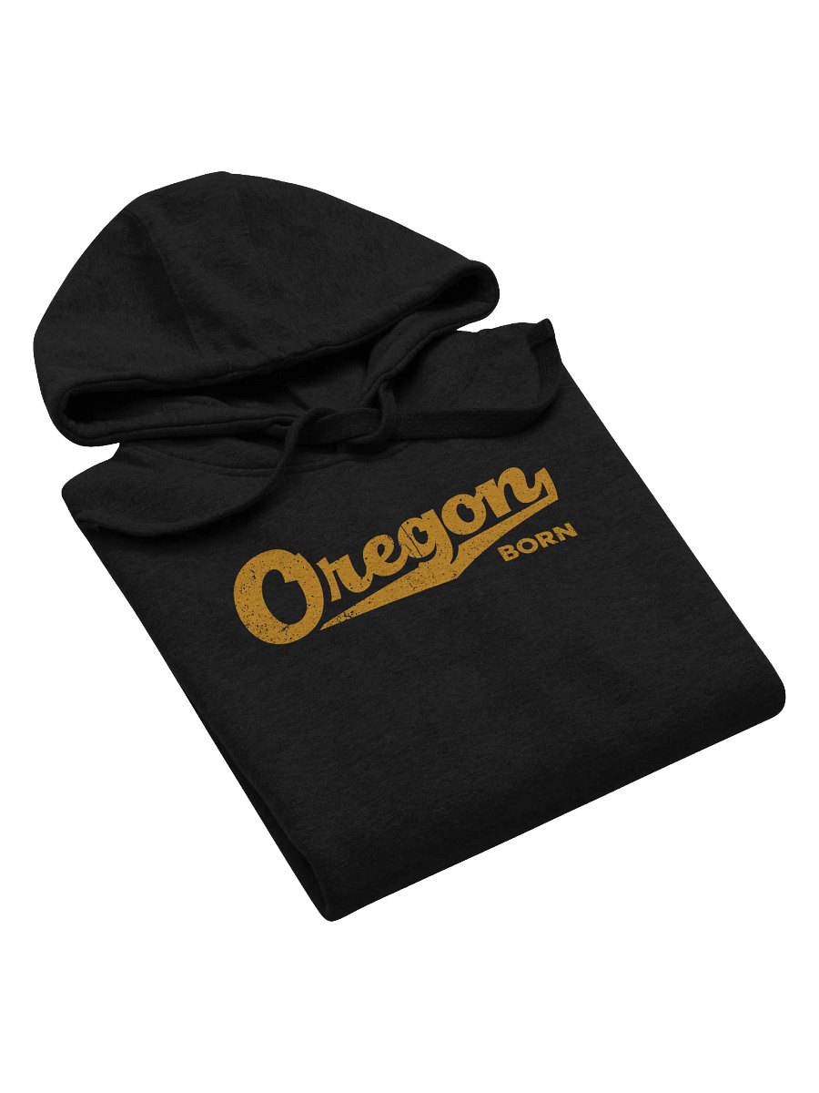 Oregon Born with Swash Hoodie product image (5)