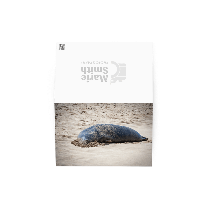 Sandy Seal Greeting product image (4)