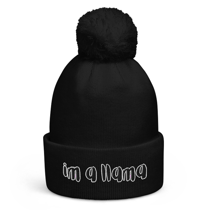 ARE YOU A LLAMA? product image (1)