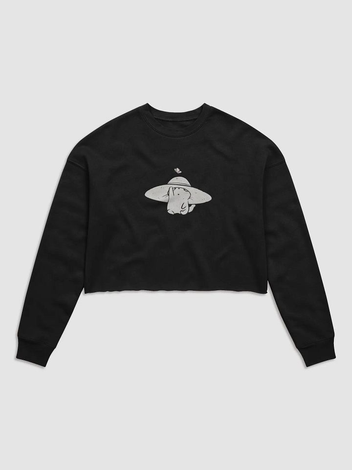 Butterfly Hat Cat Crop Sweatshirt product image (2)