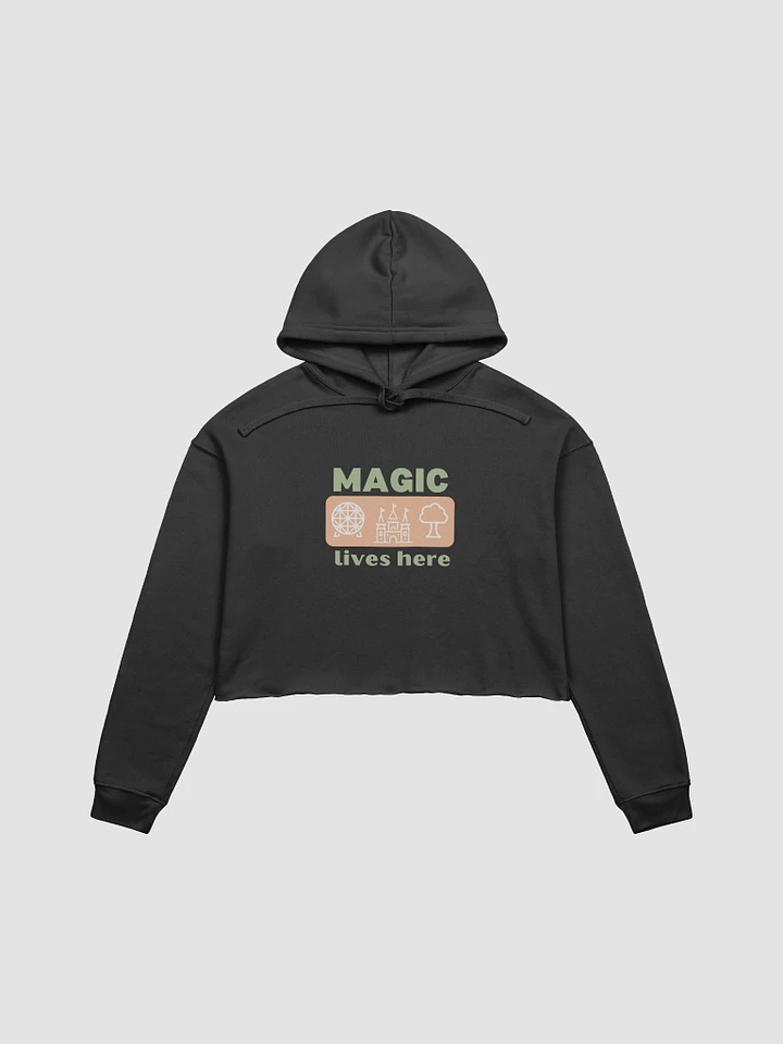 Fashion Meets Fairytale: Disney Magical World Attractions Crop Hoodie Dark Colors product image (2)