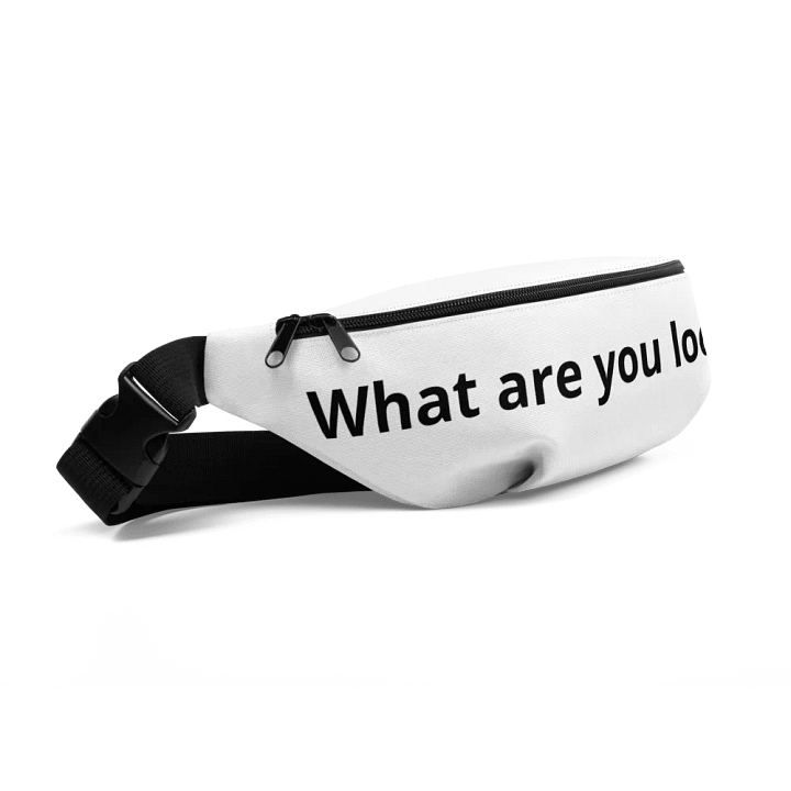 Fanny pack product image (2)