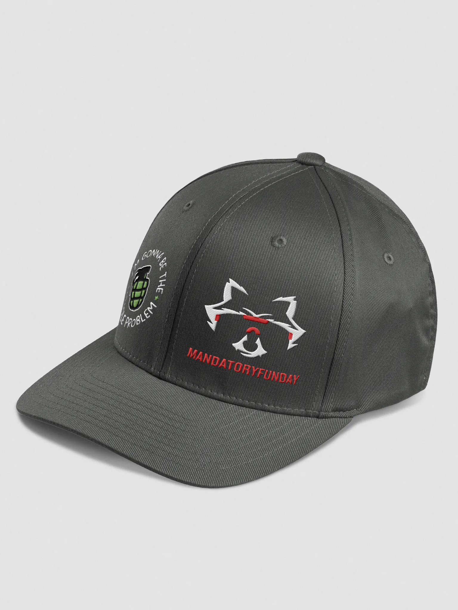 The Whole Problem Flexfit Hat product image (12)