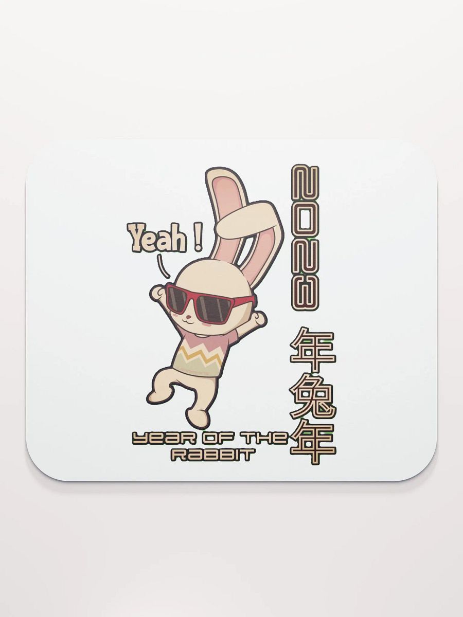 2023 YEAR OF THE RABBIT product image (4)