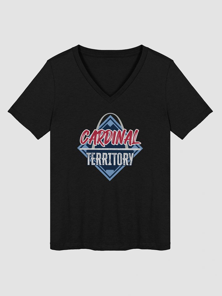 Women's V-Neck T-Shirt product image (2)