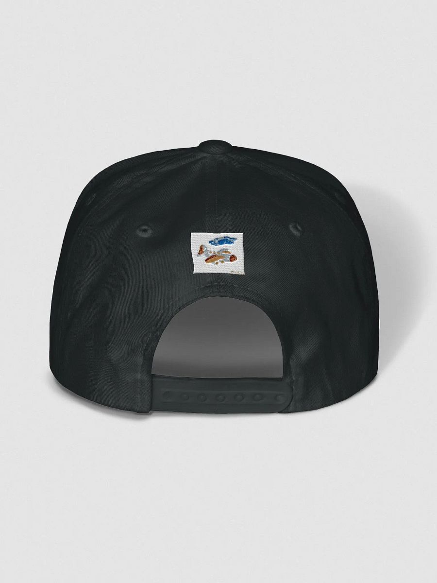 Kid Airplane (Yupoong Flat Snapback Cap) product image (4)