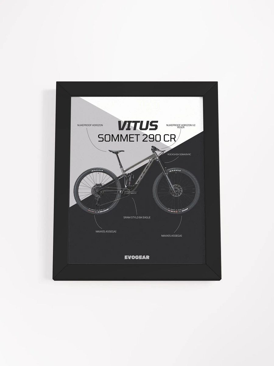 Vitus Sommet 290 CR Frame product image (3)