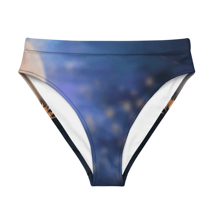 High Waisted Bikini Bottom product image (1)