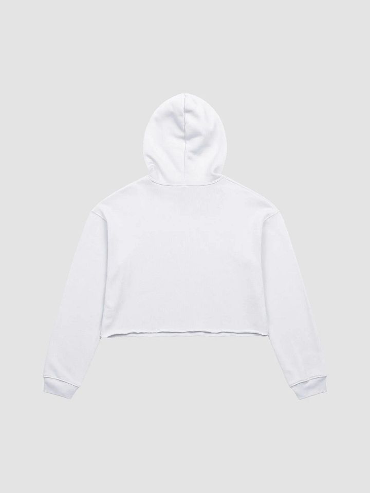 Crop PTV Hoodie product image (2)