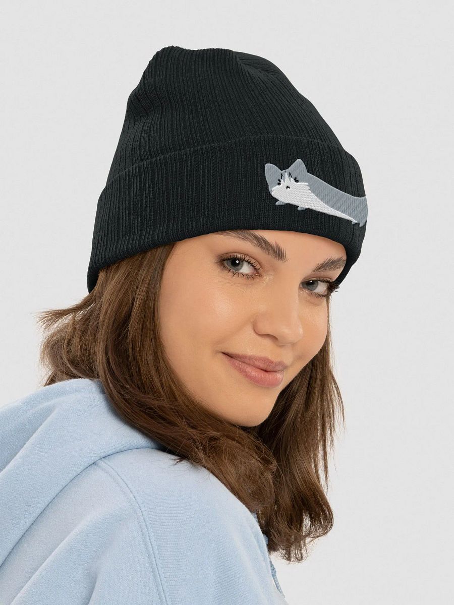 Shpyke Sausage Beanie product image (23)