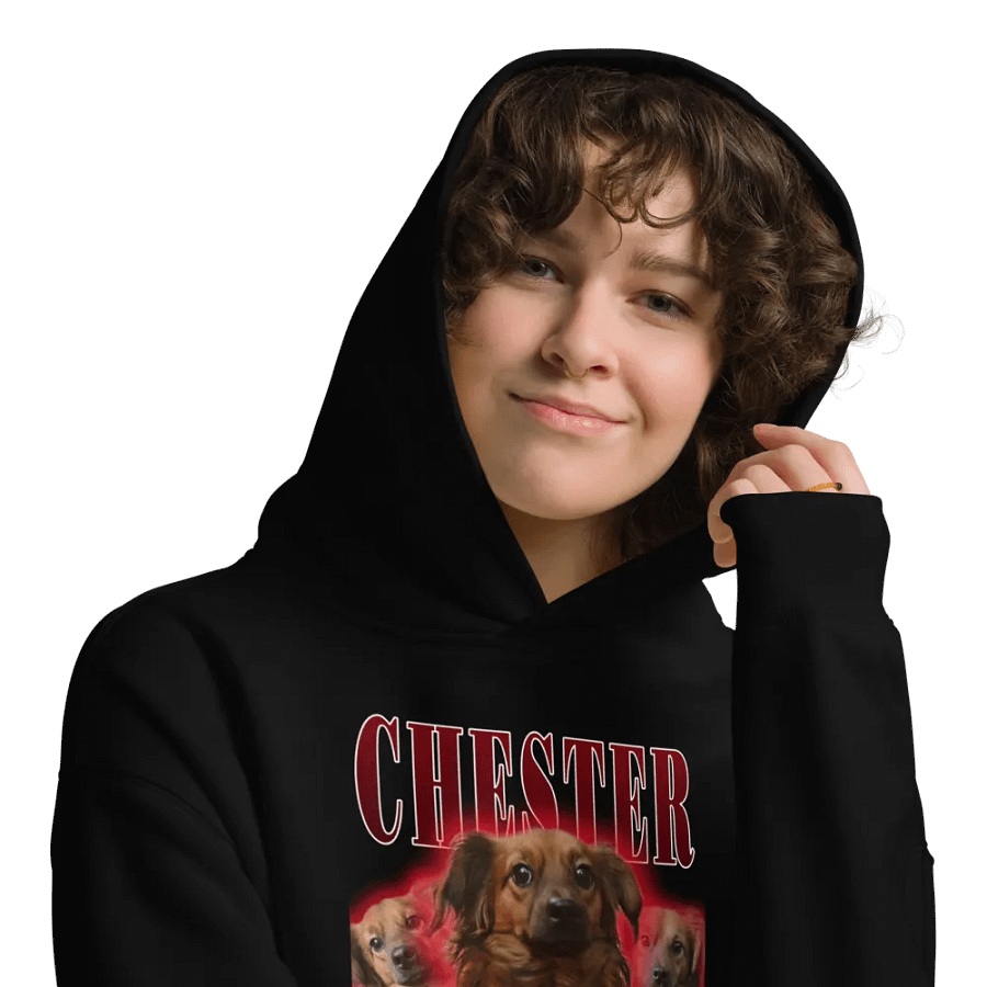 Chester Hip Hop Premium Oversized Hoodie product image (9)
