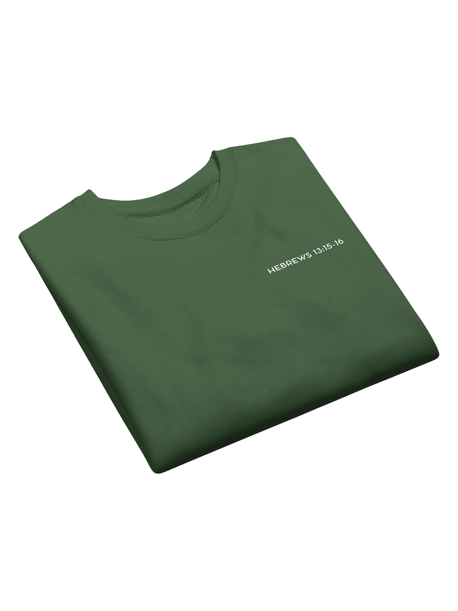 Hebrews 13:15-16 Sweatshirt product image (8)