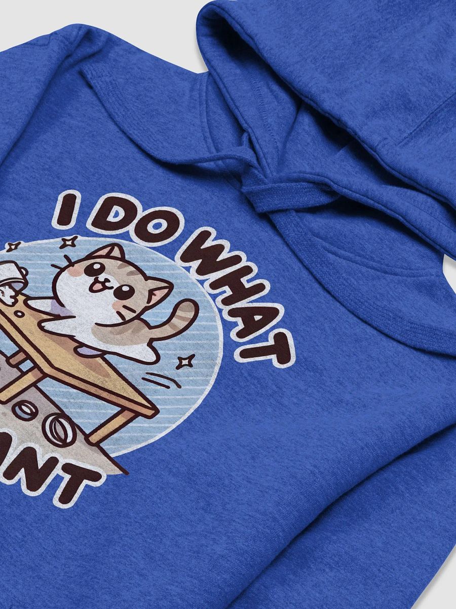 I do what I want hoodie product image (3)