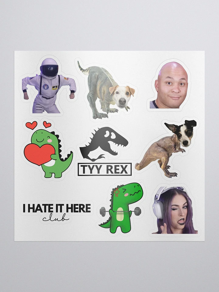 Tyy stickers product image (1)