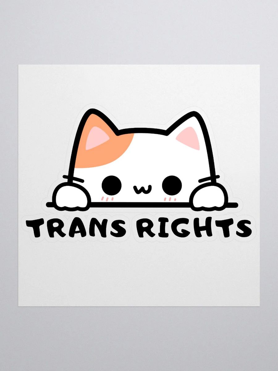 Trans Rights Cat Sticker product image (1)