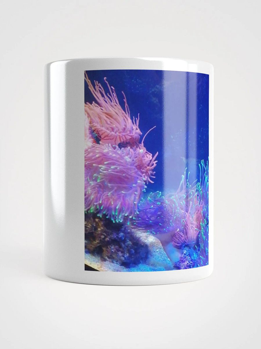 colourful product image (5)