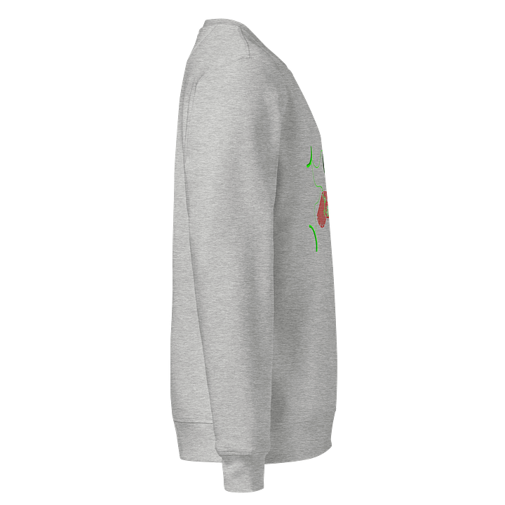 Alien Gamer Graphic Organic Sweatshirt product image (2)