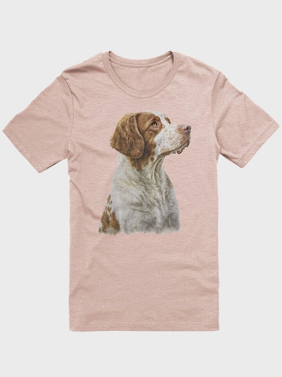 Brittany Spaniel product image (1)