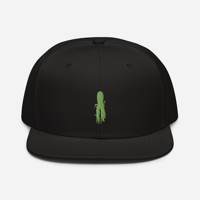[DEN SUPPLIES] green squid Snapback Hat product image (1)