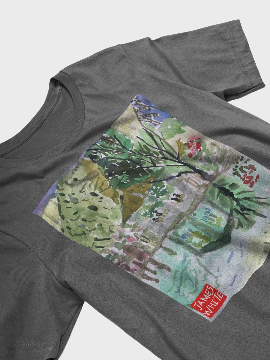 Bella+Canvas Supersoft T-Shirt: nice park product image (9)
