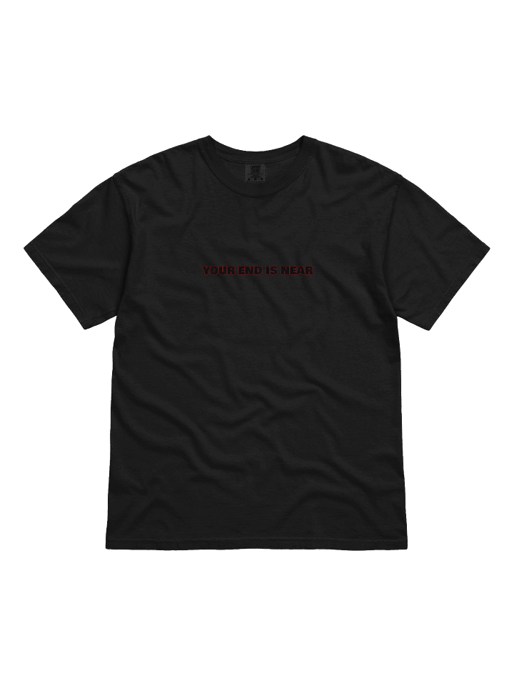 Your End Is Near T-Shirt product image (1)