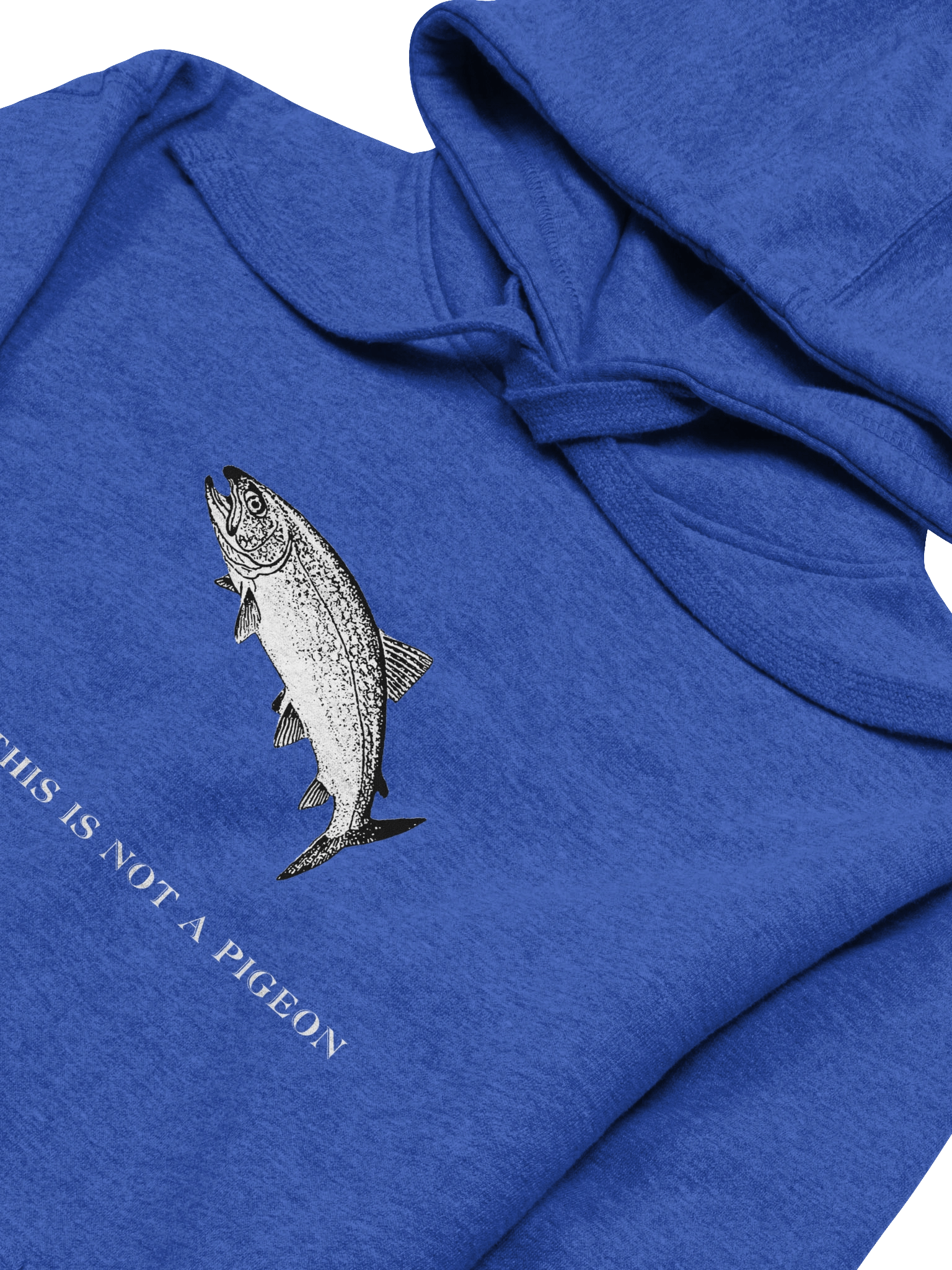 Not A Pigeon-Trout Hoodie product image (11)