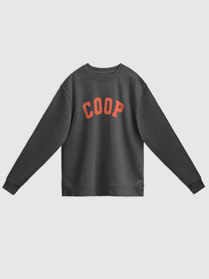 TEAM COOP Vintage Varsity Crew product image (1)