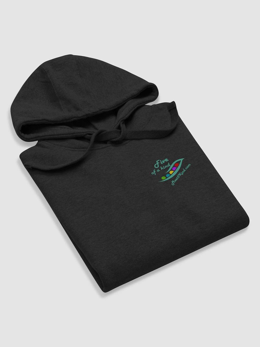 Travel Therapy Compass Hoodie product image (5)