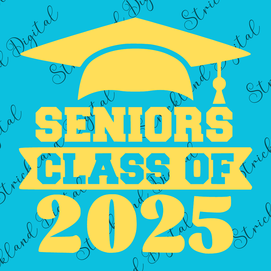 Seniors Class of 2025 SVG product image (4)