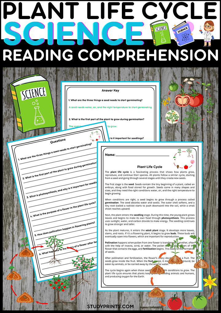 Plant Life Cycle Reading Passage with Comprehension Questions product image (1)