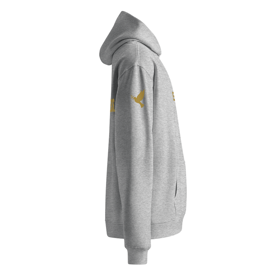 Gentleness Hoodie product image (8)