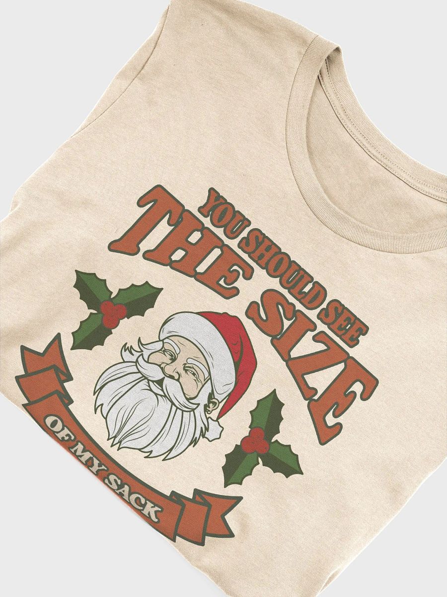 You Should See The Size of My Sack Funny Santa T-Shirt product image (34)