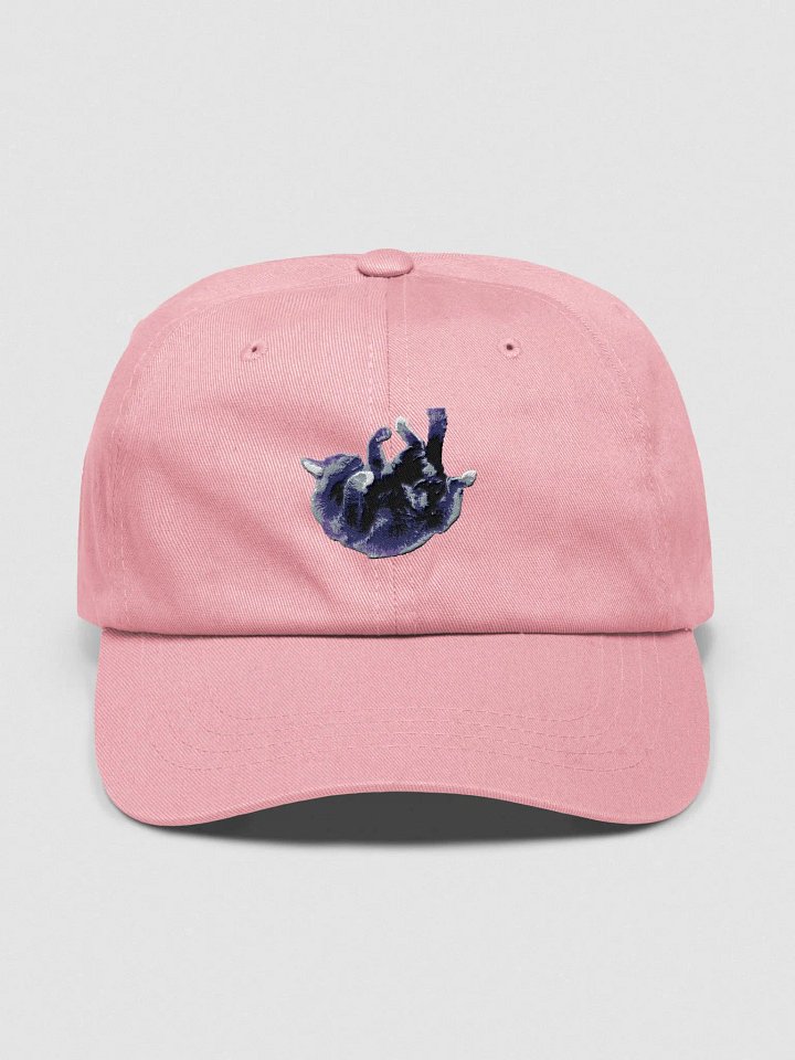 Ber Sleeping Metal Hat product image (1)
