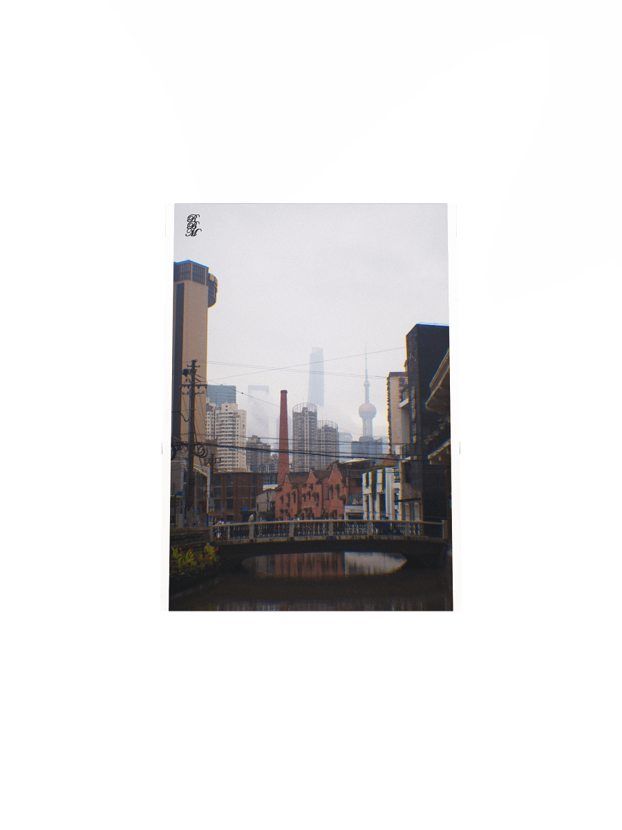 A Bridge in Shanghai product image (19)