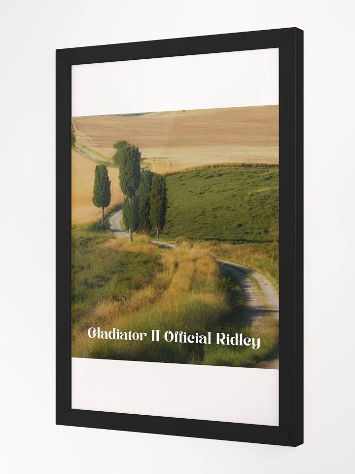 Wall Art Gladiator II Official Ridley Framed High-Quality Matte Poster (in) product image (11)