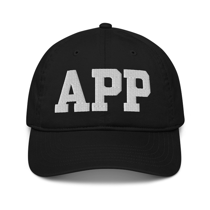 APP Organic Dad Hat by Econscious product image (1)