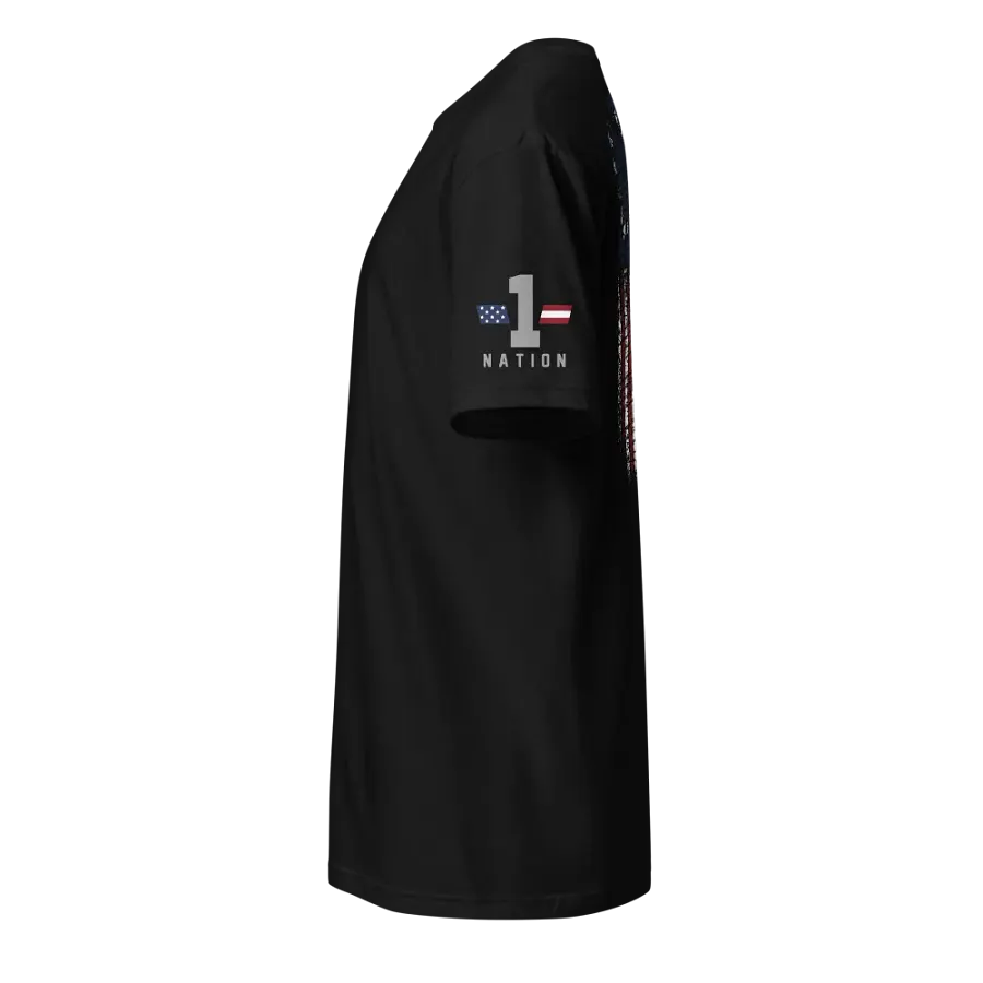 America: We the People product image (2)