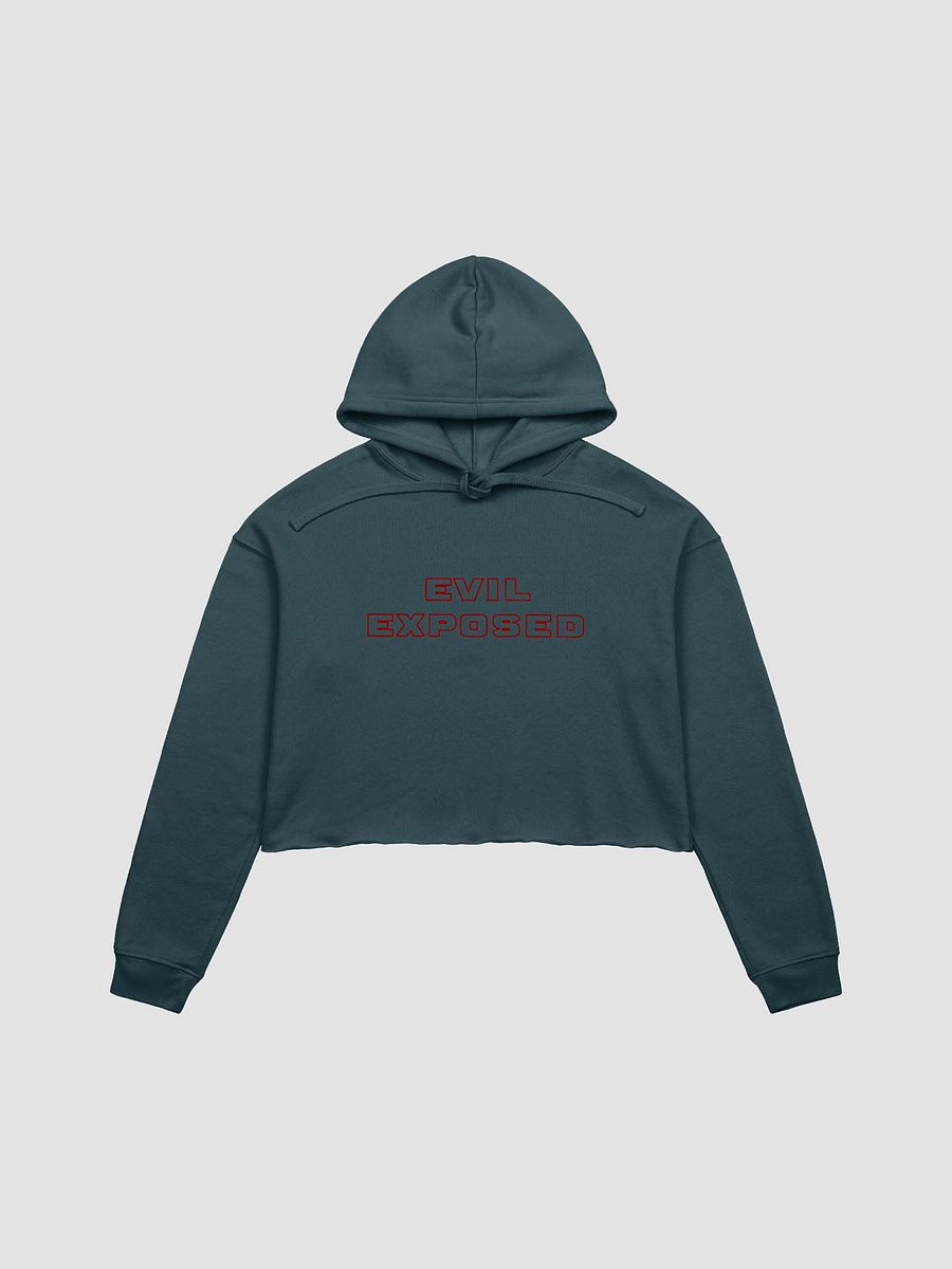 Midnight Whisper Crop Hoodie - Evil Exposed product image (7)