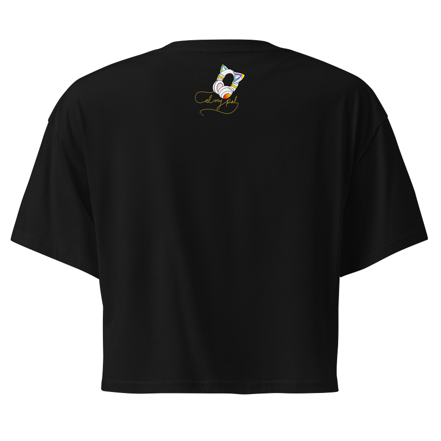 Rainbow Block Heart Embroidered Crop Top product image (2)